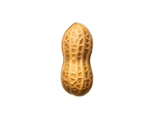 Raw natural peanut shell isolated on white background, organic dry nut seed for packaging and healthy snack design
