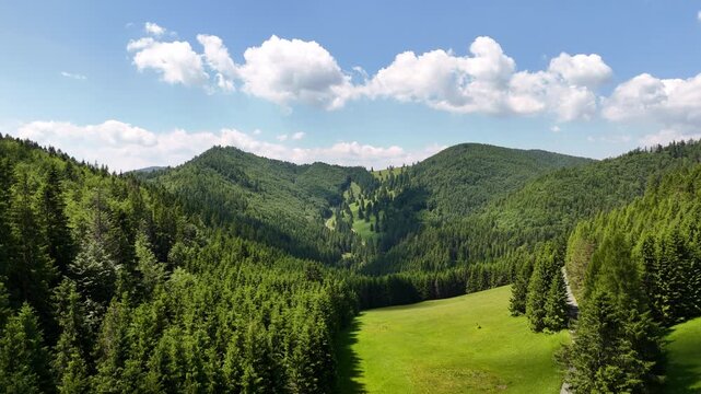 Aerial view of a green mountain valley in the Low Tatras, Slovakia, with dense forests and clear blue sky on a sunny summer day.