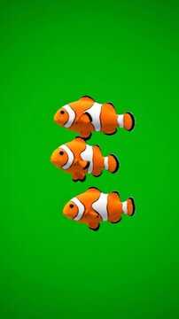 A bright green background with two clownfish. One fish is far, one close