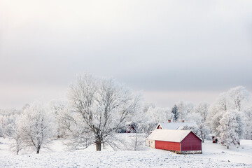 Red barn in a frosty winter landscape