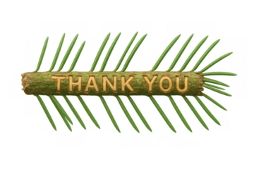 Pine branch with sculpted thank you text expressing gratitude and appreciation on transparent background