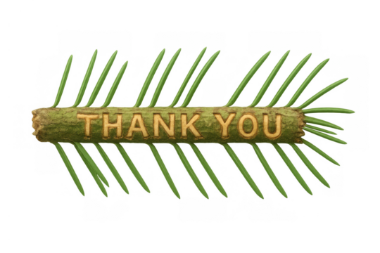 Pine branch with sculpted thank you text expressing gratitude and appreciation on transparent background
