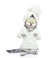 Obraz premium Cute kitten with towel on it head and with slices of cucumber o it eyea wearing bathrobe standing on hind legs. Isolated on white background