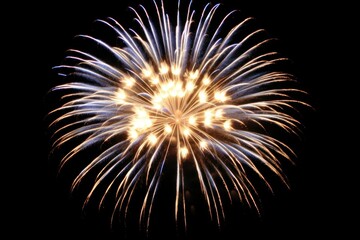 Firework fireworks black background illuminated.