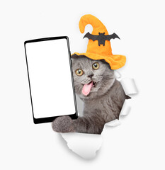Surprised cat with tongue out wearing hat for halloween holding big smartphone with white blank screen in it paw and looking through torn white paper hole. Empty free space for mock up