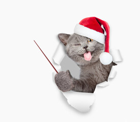 Winking cat with tongue out wearing red santa hat looking through the hole in white paper and pointing away on empty space