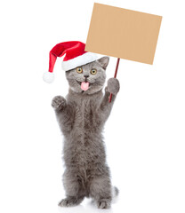Shocked cat with tongue out wearing red christmas hat standing on hind legs and showing blank placard on wooden stick. Empty space for text. isolated on white background