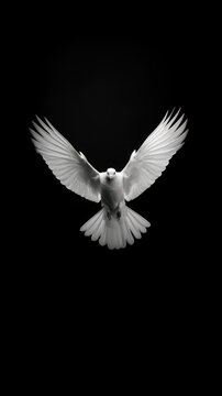 A white pegeon flying animal black bird.