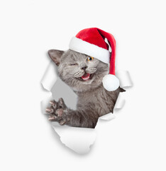 Winking cat wearing red santa hat looking through a hole in white paper and waving paw