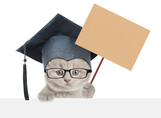 Smart kitten wearing eyeglasses and black graduation cap looking aove blank white board and showing blank placard. isolated on white background. Empty space for text