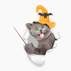 Surprised cat with tongue out wearing hat for halloween looks through a hole in white paper and points away on empty space