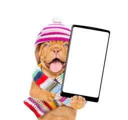 Funny Mastiff puppy wearing a warm hat with pompon and knitted scarf showing smartphone with white blank screen in it paw. isolated on white background