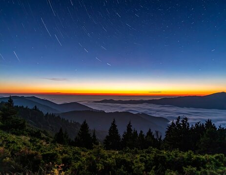 Night sky, mountains, fog, and trees create a striking landscape