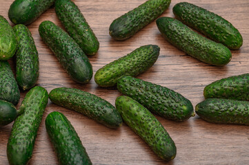 Small, fresh, crispy cucumbers from the garden