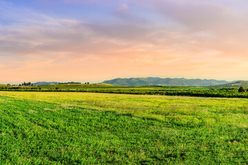 Beautiful spring landscape of green shiny field and meadow with young growth and fresh grass and...