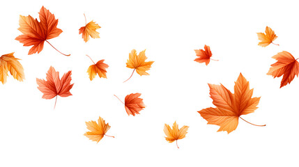 Obraz premium Floating Autumn Maple Leaves Isolated on Transparent Background with Vibrant Orange and Yellow Colors