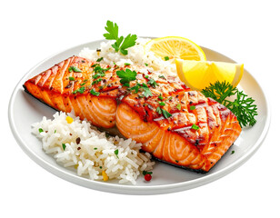 Photo of grilled salmon with rice isolated on transparent background png