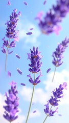 Lavender and Petals Drifting in the Sky