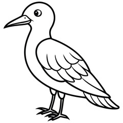 Fototapeta premium Bird,Bird vector,Bird design,Bird concept,Bird post,Bird cartoon,Bird template,Bird clipart,