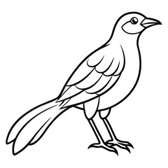 Obraz premium Bird Line Art Illustration,Simple Outline Wildlife Vector Drawing for Coloring Page,Bird,Bird vector,Bird design,Bird concept,Bird post,Bird cartoon,Bird template,Bird clipart,
