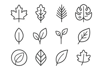 Set of Simple Minimalist Leaf Icons in Line Style