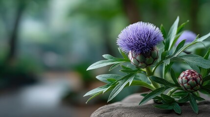 Close up of a vibrant purple thistle flower with green leaves and dew drops against a softly blurred background of lush green foliage and a hint of water in a natural outdoor setting.