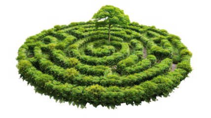 A green labyrinth from above on transparent background