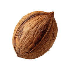 This pecan nut features a hard, brown shell with visible texture, perfect for various dishes and healthy eating
