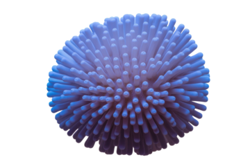 Abstract image of a spherical, purple object with numerous soft, finger-like protrusions, reminiscent of a microscopic organism or sea creature. background removed