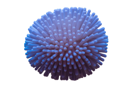 Abstract image of a spherical, purple object with numerous soft, finger-like protrusions, reminiscent of a microscopic organism or sea creature. background removed