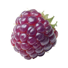 Bright and juicy black raspberry on display, showcasing its deep color and plump texture in a warm summer day