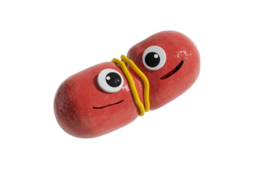 Two smiling red capsule-like characters, with big eyes, playfully linked by a yellow squiggle on a transparent background. background removed