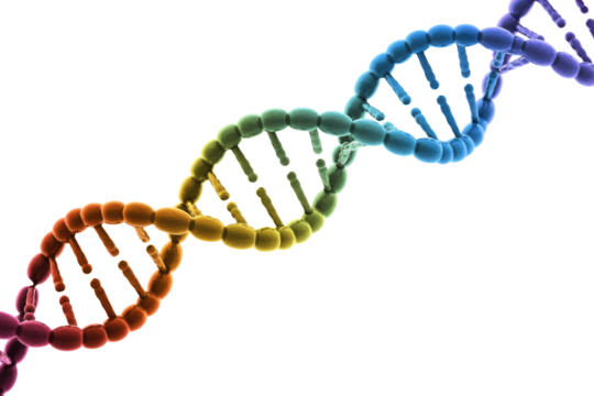 A vibrant, colorful 3D rendering of a DNA double helix structure, illustrating genetics, life science, and molecular biology. background removed