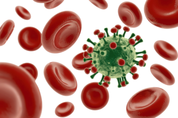 A 3D rendering shows a green coronavirus particle, likely COVID-19, surrounded by numerous red blood cells, illustrating viral interaction within the bloodstream. background removed