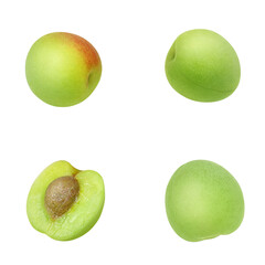 梅 梅の実 イラスト リアル