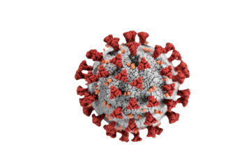 A detailed 3D rendering of the SARS-CoV-2 virus (COVID-19), featuring its characteristic red spike proteins against a transparent background. background removed