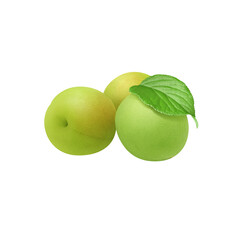 梅 梅の実 イラスト リアル