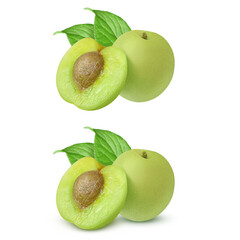 梅 梅の実 イラスト リアル