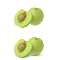 梅 梅の実 イラスト リアル