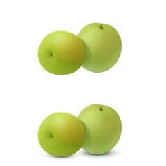 梅 梅の実 イラスト リアル