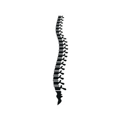 Spine Illustration
