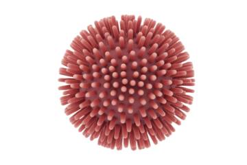 A microscopic 3D render of a spherical virus particle or microorganism, covered in numerous spike-like structures, against a solid transparent background. background removed