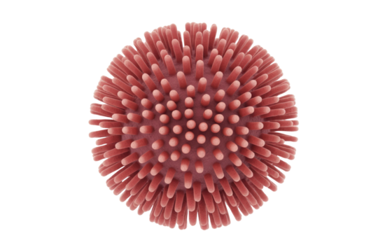 A microscopic 3D render of a spherical virus particle or microorganism, covered in numerous spike-like structures, against a solid transparent background. background removed