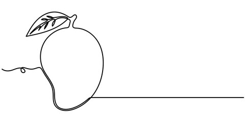 Mango continuous one line drawing, in minimalist style isolated outline illustration. 