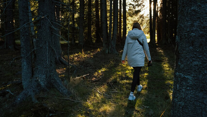 Woman walking through a serene forest with sunlight filtering through trees during late afternoon