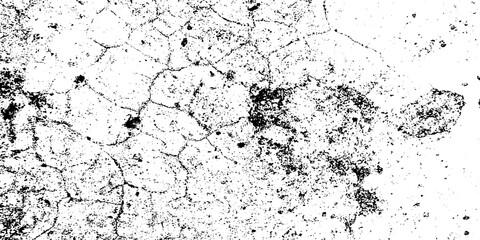 Vector dust isolated on white background and texture old film grainy noise. Grunge texture Distressed Effect. Grungy Background textured effect. Black and white Dust overlay paint, stroke, ink.