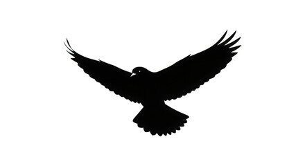 Fototapeta premium Majestic Bird of Prey Soaring Through the Dark Sky Wings Spread Wide