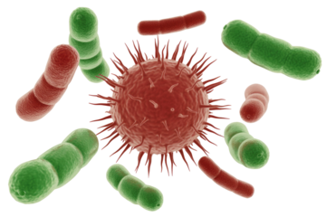 A 3D rendering depicting a red spiky virus surrounded by various green and red bacteria and microbes, illustrating microscopic lifeforms. background removed