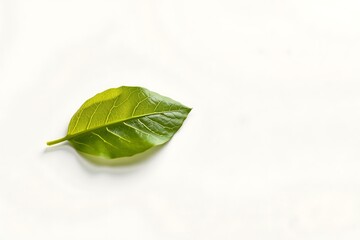 Generative AI vibrant green leaf on a pristine white background.