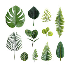 Creative display of various green leaves against a white background highlights their unique shapes and textures